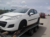Geam lateral peugeot 207 2010