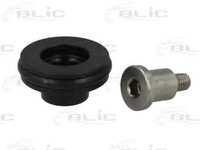 Ghidaj cu role usa glisanta RENAULT KANGOO KC0/1 BLIC 6003-00-0138P