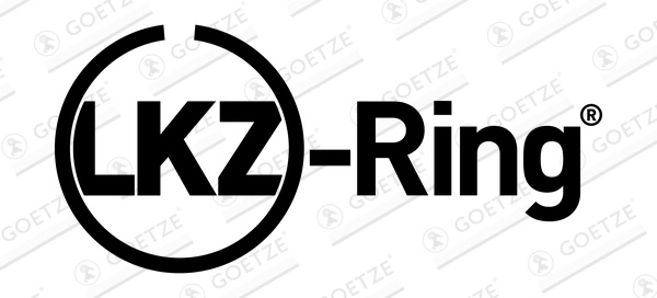 GOETZE ENGINE Set segmenti piston 08-421