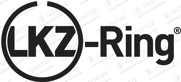 GOETZE ENGINE Set segmenti piston 08-444600-00 la