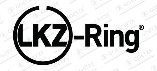 GOETZE ENGINE Set segmenti piston 08-449