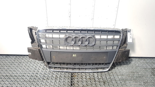 Grila bara fata centrala cu sigla, Audi A5 (8