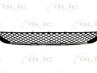 Grila bara MERCEDES-BENZ SPRINTER 5-t caroserie 906 BLIC 5510003547995P PieseDeTop