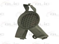 Grila bara NISSAN QASHQAI QASHQAI +2 J10 JJ10 BLIC 5513001617996P