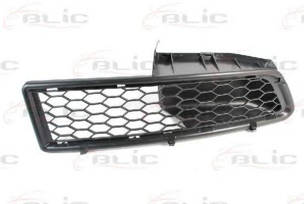 Grila bara RENAULT LOGAN I LS BLIC 6502071301992P