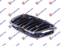 Grila - Bmw X5 (E53) 2000 , 51138402645