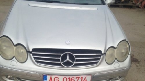 Grila Mercedes Clk c209