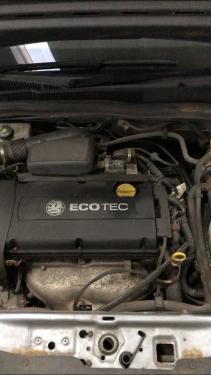 Grila proiector Opel Astra H 2007 Hatchb