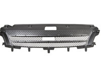 Grila radiator (6502073081990P BLIC) IVECO