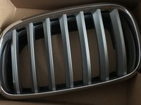 Grila radiator Bara fata Bmw X6 E71 2007-2014 Nara stanga