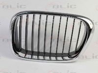 Grila radiator BMW 5 E39 BLIC 65020700659911P