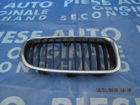 Grila radiator BMW F30