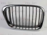 Grila radiator BMW Seria 5 Touring (E39) (1997 - 2004) BLIC 6502-07-00659912P