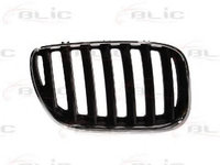 Grila radiator BMW X5 (E53) (2000 - 2006) BLIC 6502-07-0095996P