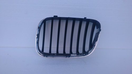 Grila Radiator BMW X5