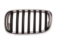 Grila radiator BMW X6 (E71, E72) (2008 - 2014) BLIC 6502-07-0096991P piesa NOUA