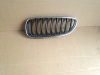 Grila Radiator BMW Z4 E89