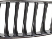 Grila radiator BMW Z4 Roadster (E89) BLIC 6502-07-0089995P