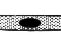 Grila radiator Ford Ka (Rb) 09.1996-11.2008, fata, 1038032, 320005-X