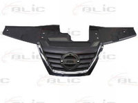 Grila radiator NISSAN JUKE F15 BLIC 6502071601990P PieseDeTop