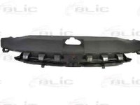 Grila radiator PEUGEOT 307 CC 3B BLIC 6502-07-5514990P