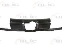 Grila radiator SEAT CORDOBA 6K2 BLIC 6502076608991P PieseDeTop