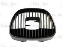 Grila radiator SEAT CORDOBA 6L2 BLIC 5601-00-6609993P