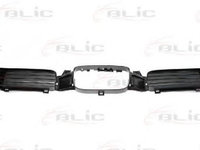 Grila radiator SEAT LEON (1M1) (1999 - 2006) BLIC 6502-07-6616993P