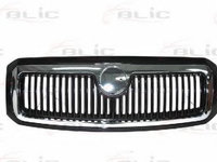 Grila radiator SKODA FABIA (6Y2) (1999 - 2008) BLIC 6502-07-7514991P