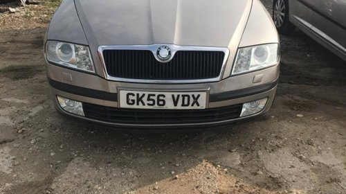 Grila radiator Skoda Octavia 2006 Sedan 2.0 d