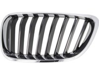 Grila radiator stanga (6502070069991P BLIC) BMW