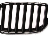 Grila Radiator Stanga Blic Bmw X5 E53 2003-2007 6502-07-0095995P