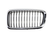 GRILA RADIATOR Stanga BMW 7 (E38) BLIC 6502-07-0075995P 1994 1995 1996 1997 1998 1999 2000 2001