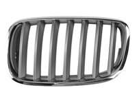 GRILA RADIATOR Stanga BMW X5 (E70) BLIC 6502-07-0096991PP 2006 2007 2008 2009 2010 2011 2012 2013