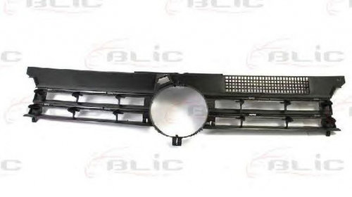 Grila radiator VW GOLF IV 1J1 BLIC 6502079523