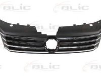 Grila radiator VW PASSAT 362 BLIC 6502079547990P