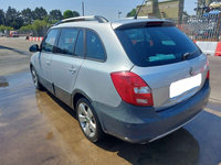 Haion cu defect Skoda Fabia 2 2011 Scout BREAK 1.6 TDI CAYC