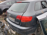 Haion cu luneta Audi A3 8P 2006