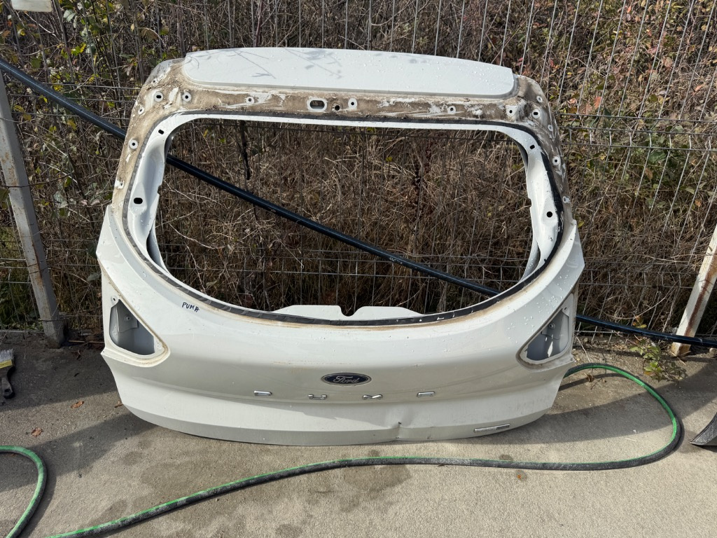 Haion Ford PUMA Alb 2019/2020/2021/2022/2023