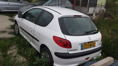 Haion peugeot 206 an 2005