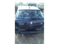 Haion Peugeot 307 2006