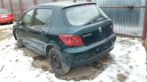 Haion Peugeot 307