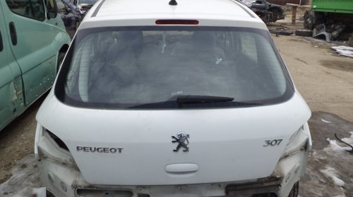 Haion Peugeot 307