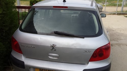 Haion spate peugeot 307 culoare gri an 2002