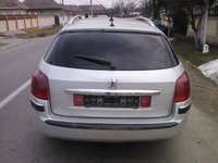 Haion Complet Culoare Gri Peugeot 407 Sw