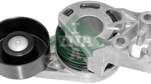 Ina intinzator curea transmisie pt seat,skoda