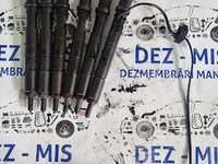 Injectoare Audi A4 B7 2.5 TDI