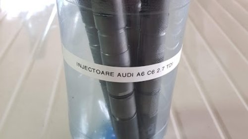 Injectoare Audi A6 C6 4F 2.7 TDI