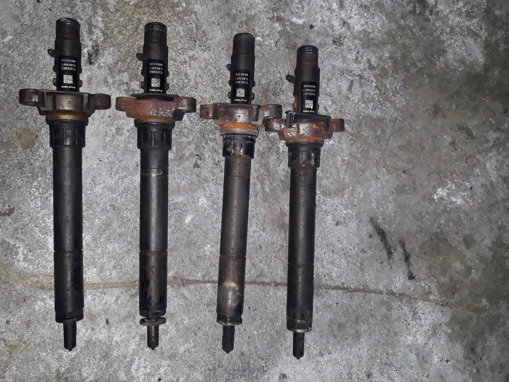 Injectoare Delphi Citroen C5 2.0 Hdi RHR