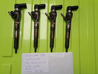 Injectoare Renault Continental 166006212R-HB201100113